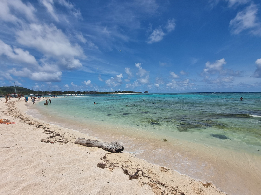 Coral Belle Catamaran Cruises-大湾必去景点