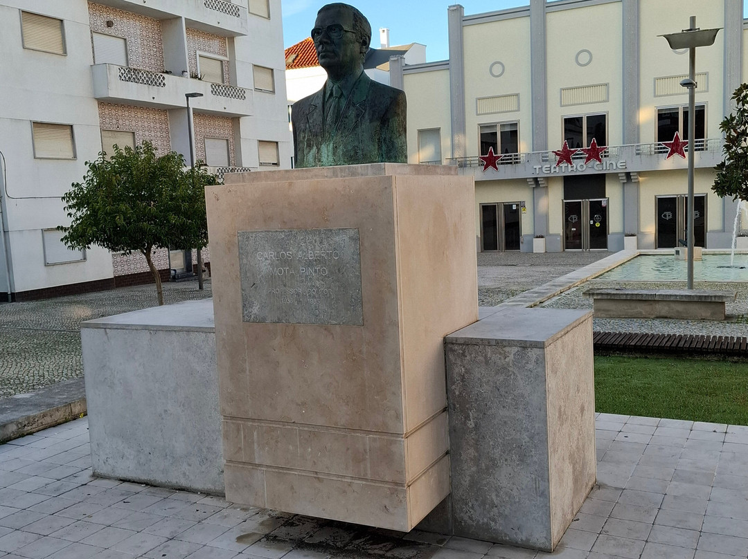 Estátua Carlos Alberto Mota Pinto-Pombal必去景点