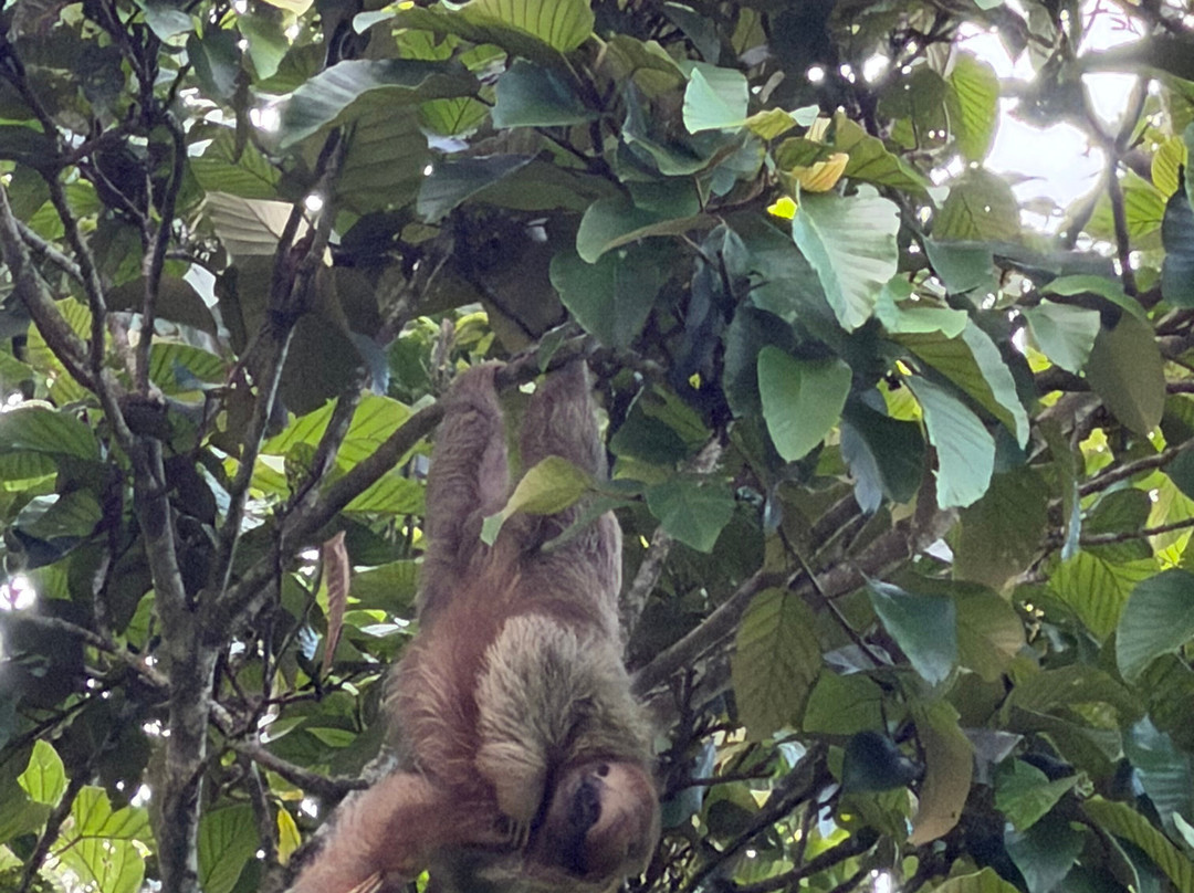 NexusTours-圣何塞必去景点