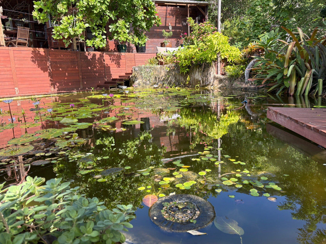 Jardin Botanique du Desert-La Desirade必去景点