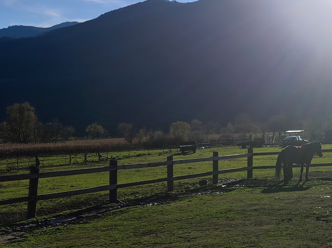 Artemis O.E.-Sklithro必去景点