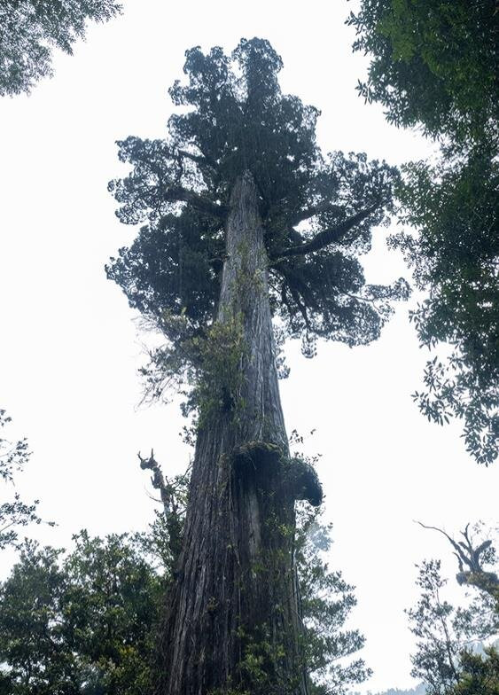 Carretera Austral-Los Lagos Region必去景点