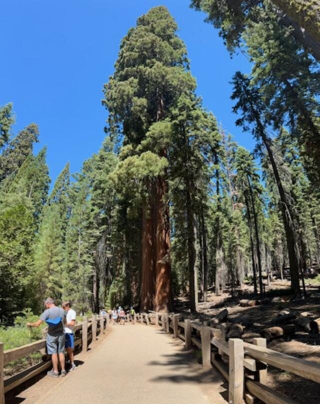 Tours of Distinction - Connecticut-锡姆斯伯里必去景点