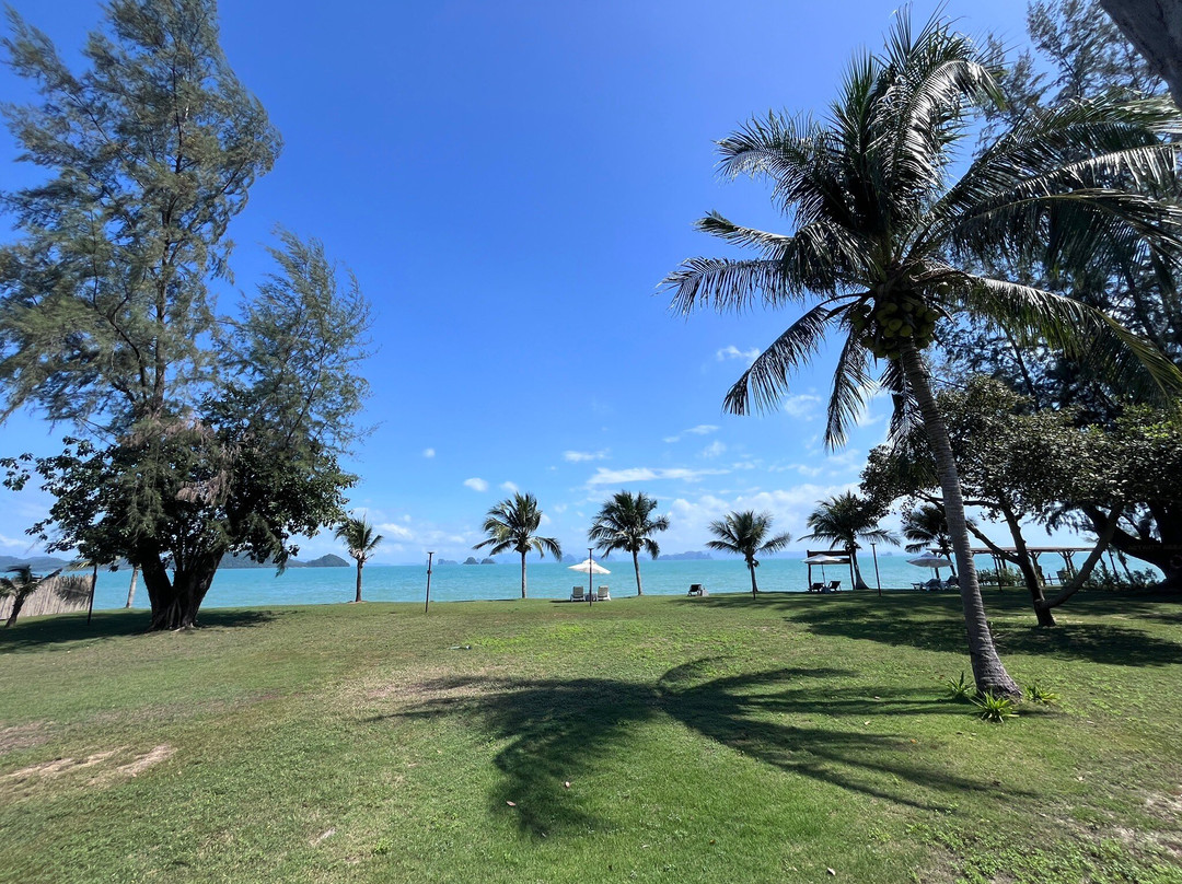 Better View Resort主图