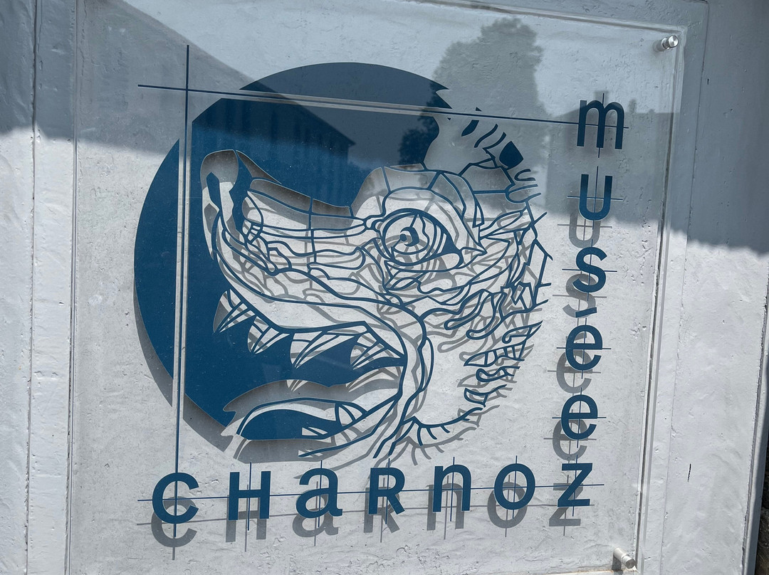 Musee Paul Charnoz-Paray Le Monial必去景点