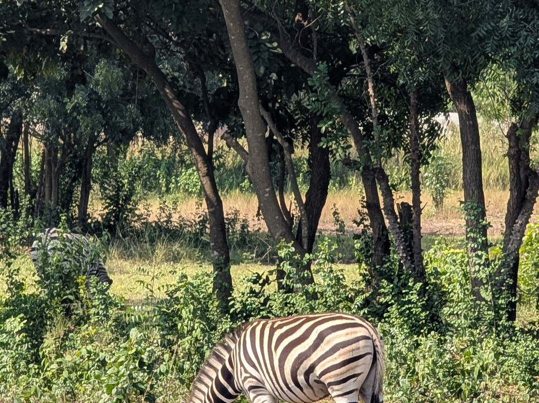TANF Charity-Tours-Aburi必去景点