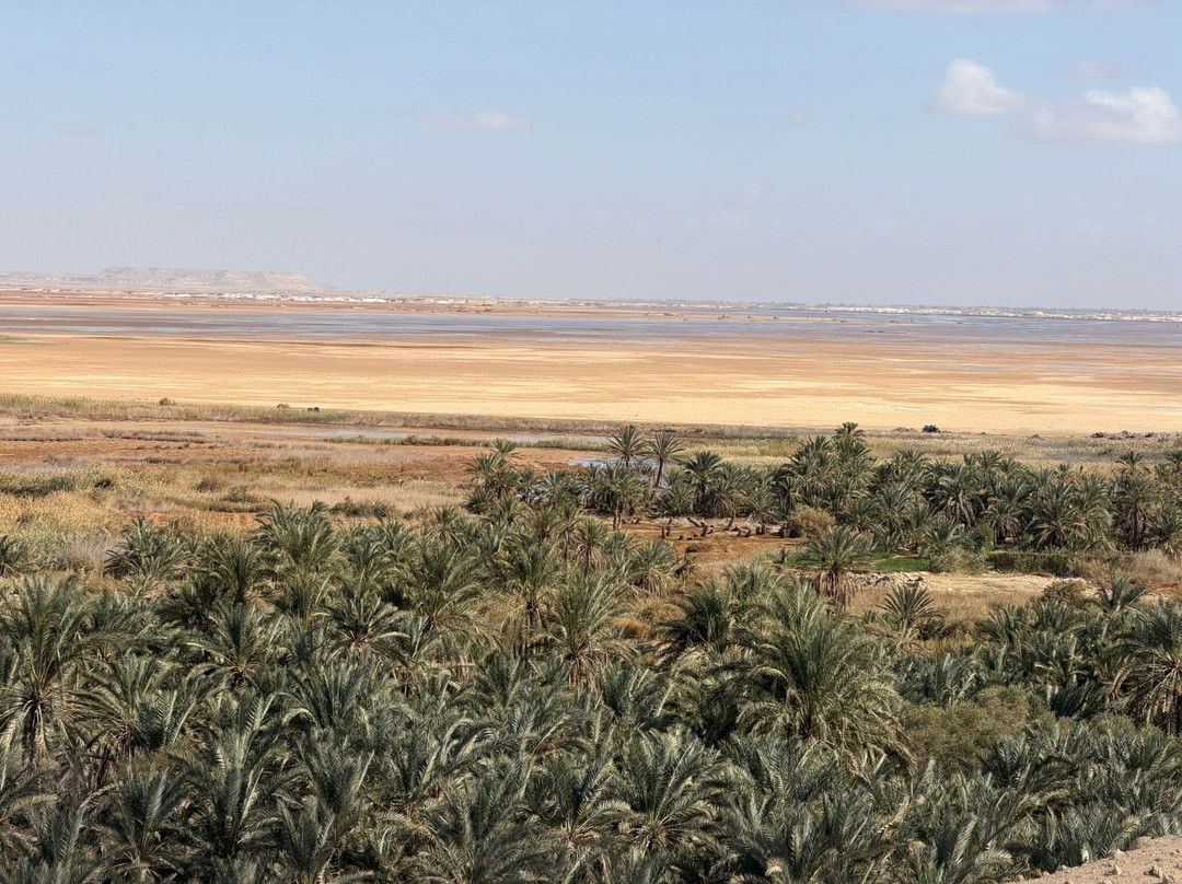 Amico Excursions-赫尔格达必去景点