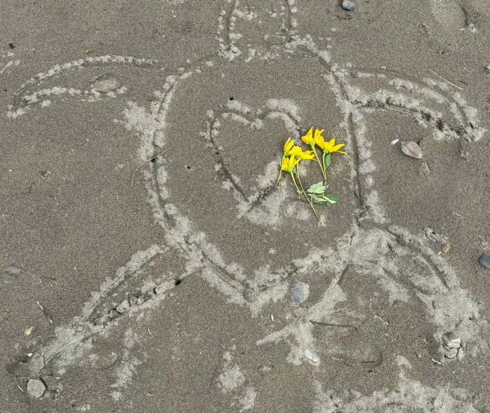 Save The Turtles Playa Venao-维纳欧海滩必去景点