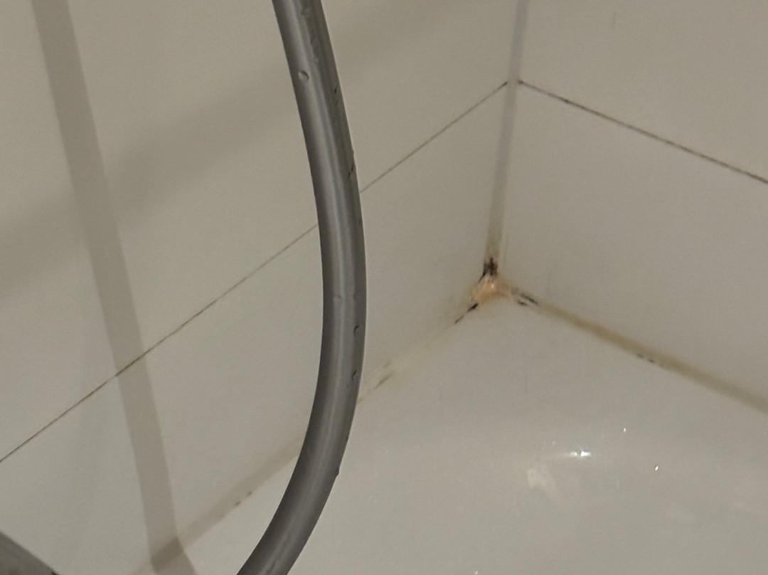 特里尔欧帕哈莱潘达酒店主图