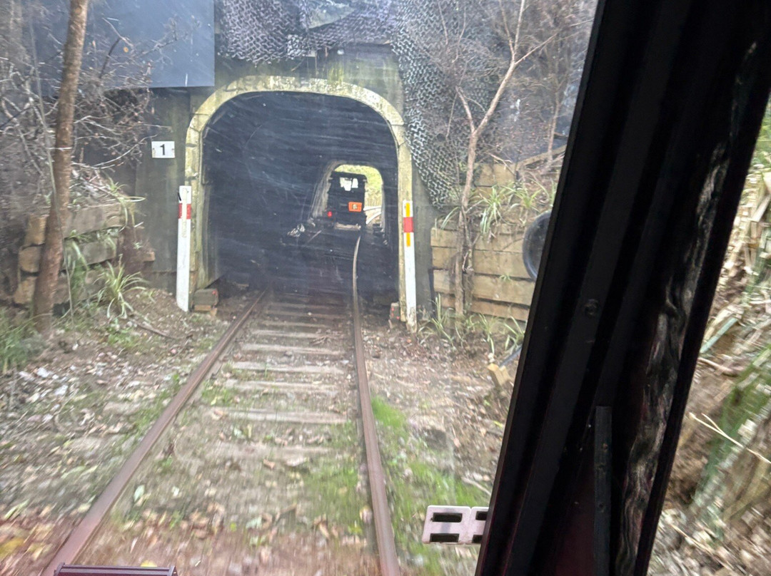 Awakeri Rail Adventures-法卡塔尼必去景点