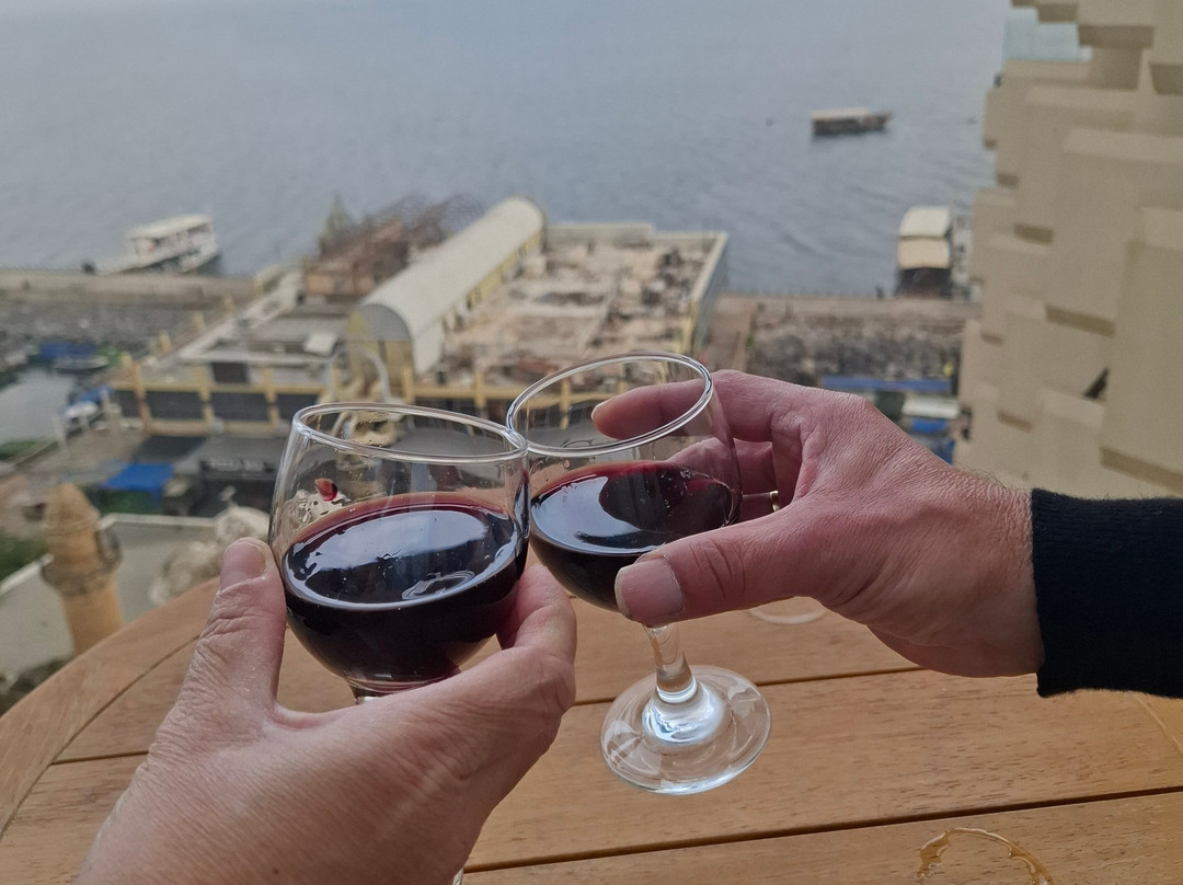 莱昂纳多广场太巴列酒店主图