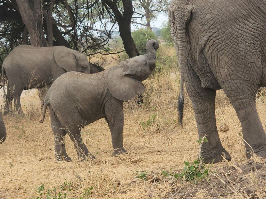 Mamnana Adventures-Olasiti必去景点