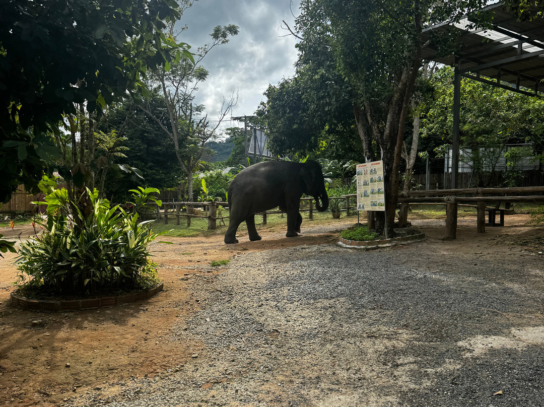 Elephant Hut Phuket