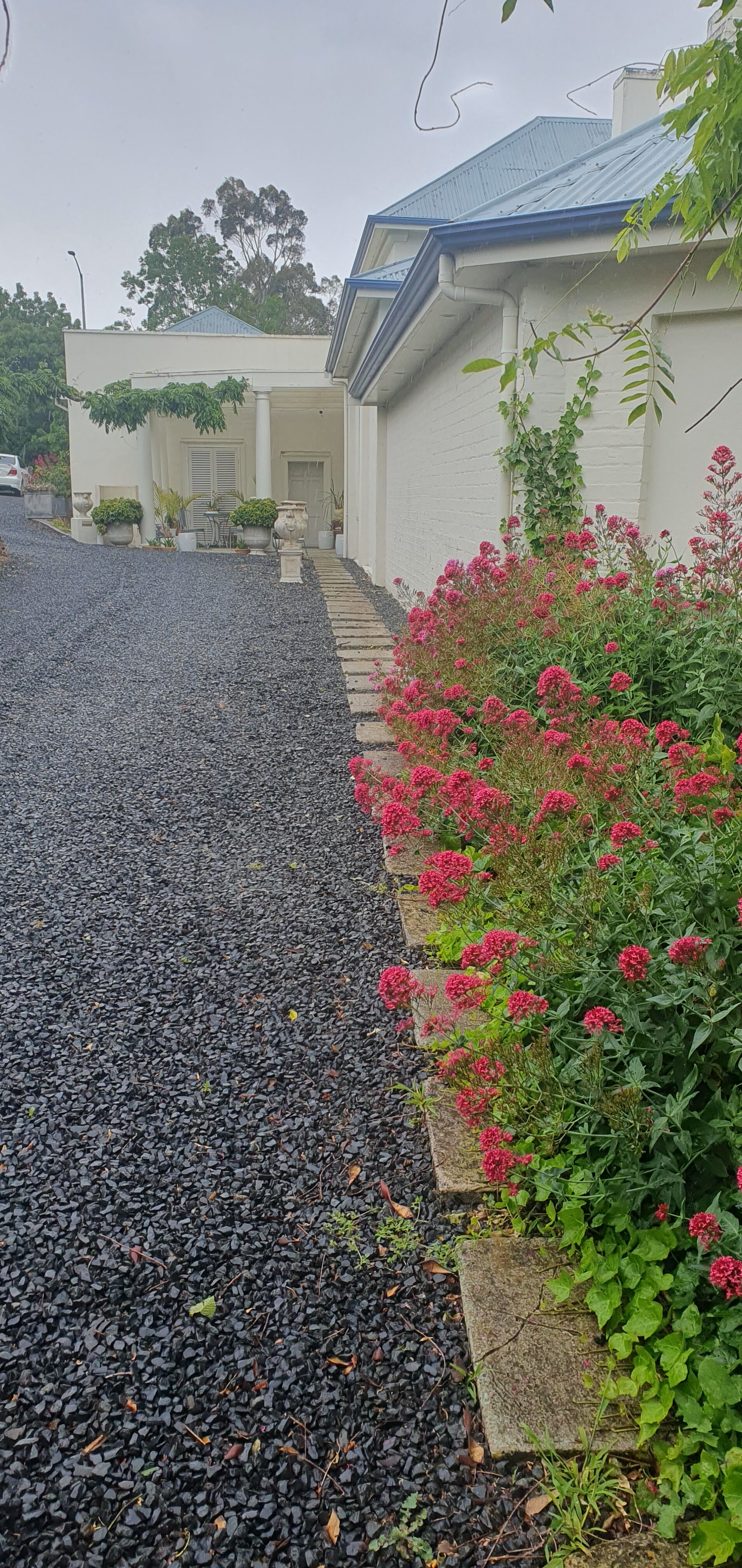 伍德布里奇德温特酒店-官方