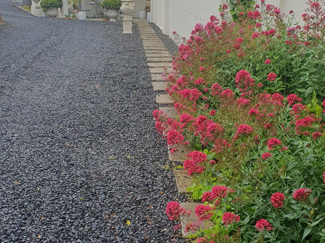 伍德布里奇德温特酒店主图