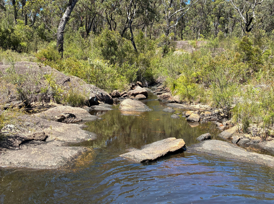 Boonoo Boonoo National Park-坦特菲尔德必去景点