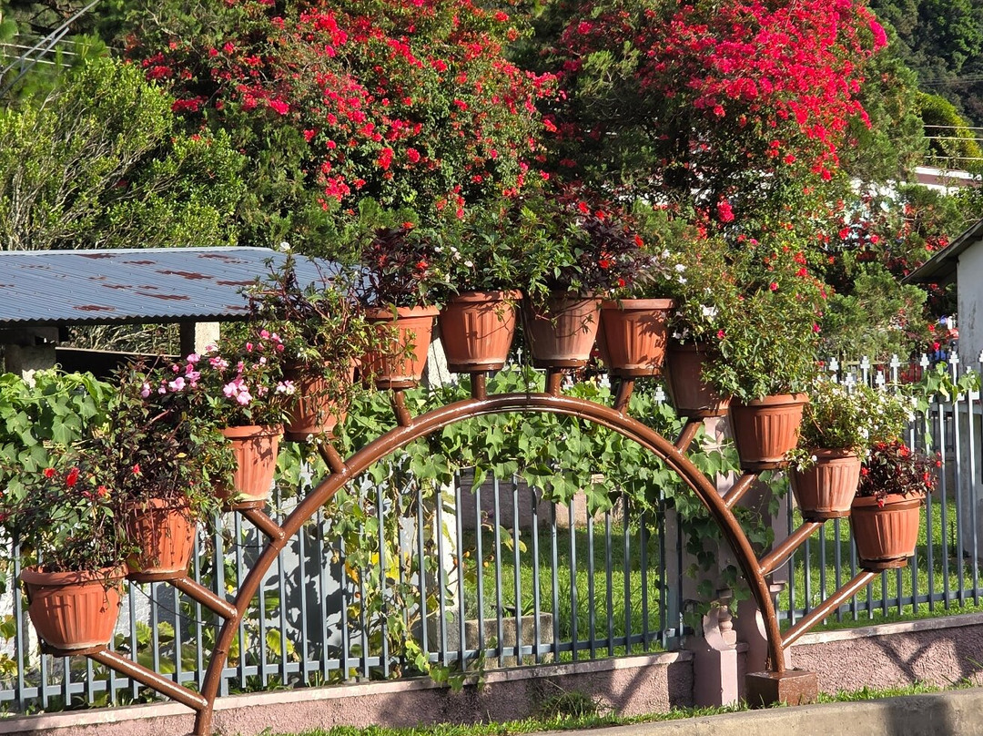 Panama Relocation Tours-波魁特必去景点