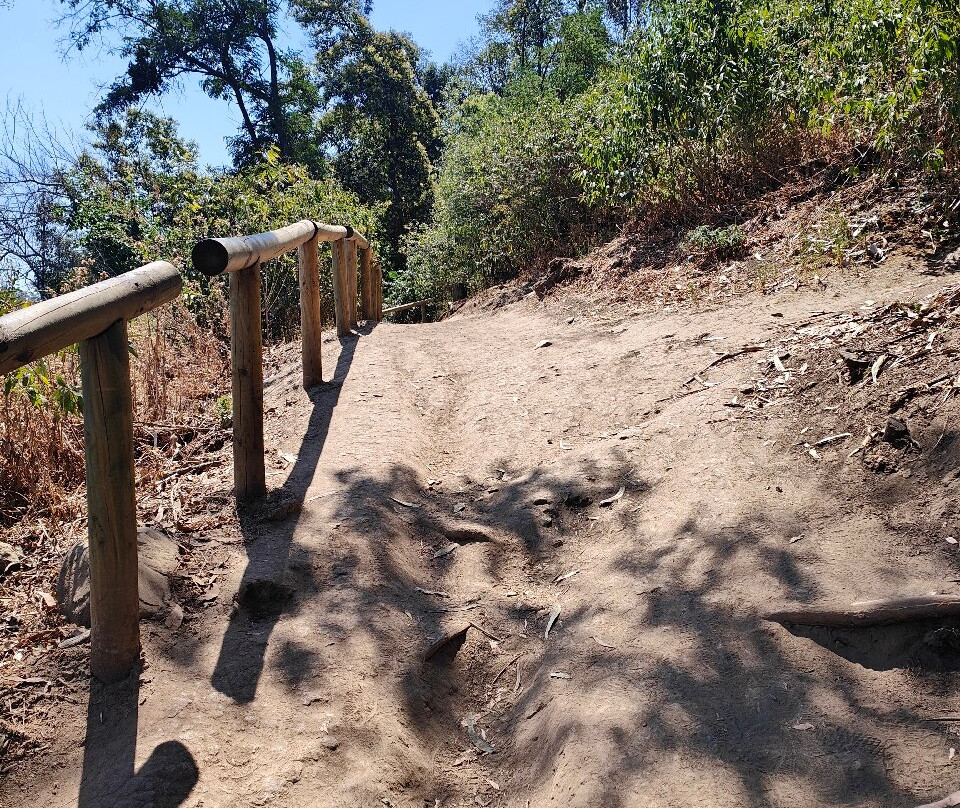 Jardin Japones Santiago De Chile-Providencia必去景点