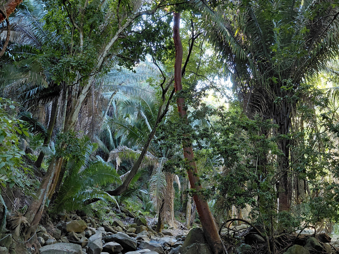Mystic Embrace-Chacala必去景点