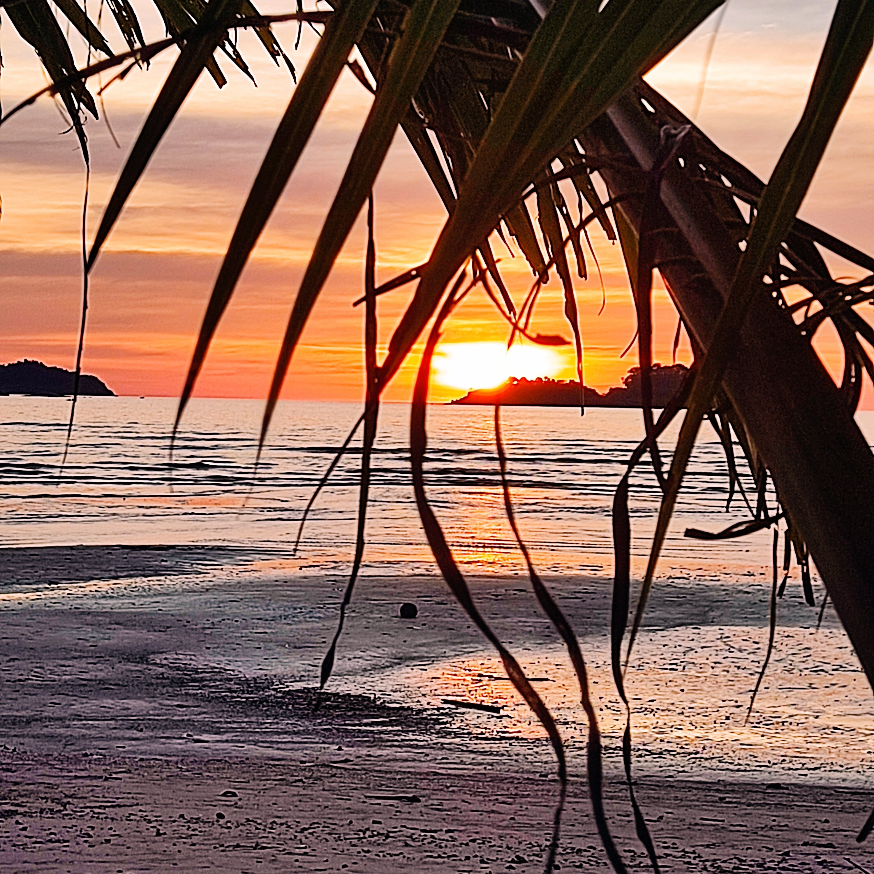 象岛特罗皮卡纳 SPA 度假村-泳池