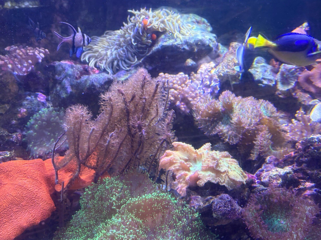 Lakes Aquarium-Newby Bridge必去景点