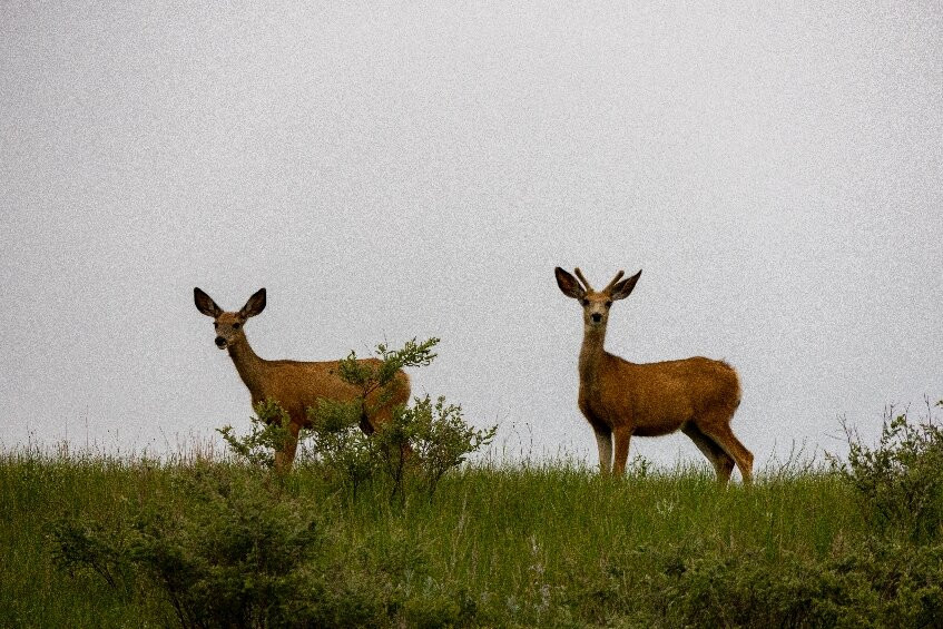 The Prairie Club-Valentine必去景点