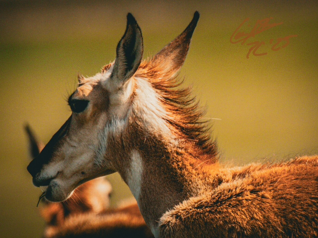 The Prairie Club-Valentine必去景点