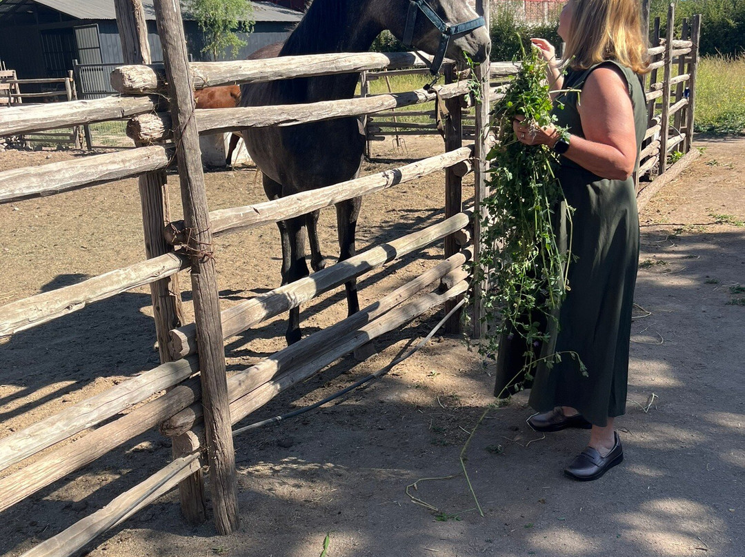 Campo La Quirinca-Isla de Maipo必去景点