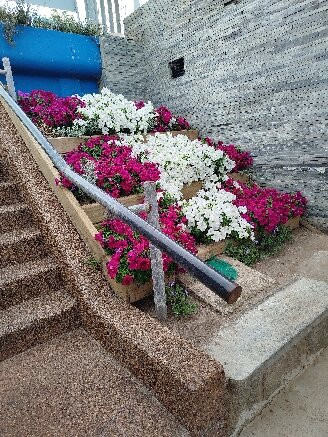 波多黎各德埃斯特角城-埃斯特角城必去景点