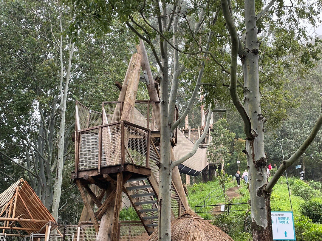 Jetwings Lanka Tours-Delgoda必去景点