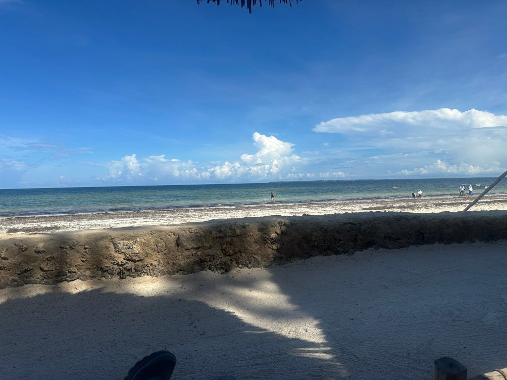 White Paradise Zanzibar-官方