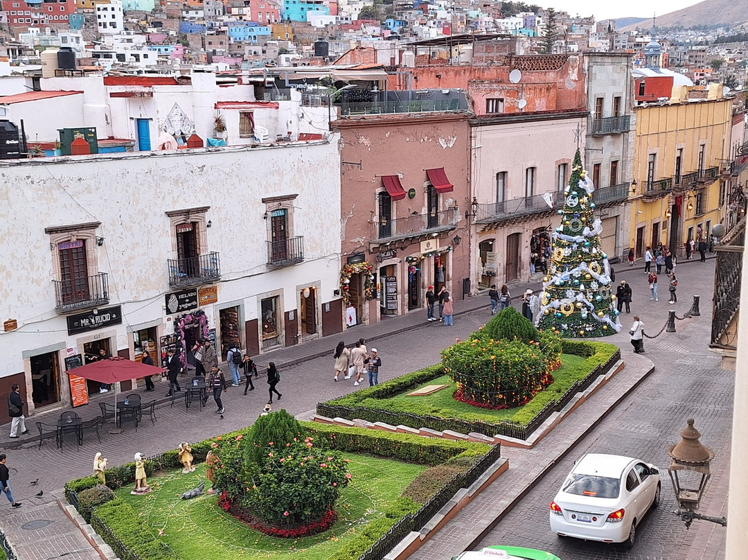拉帕茨酒店主图
