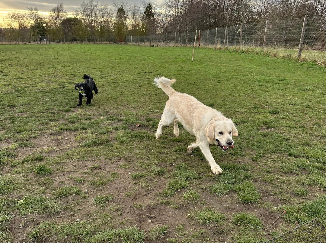 Seaview Dog Meadow-Wiveton必去景点