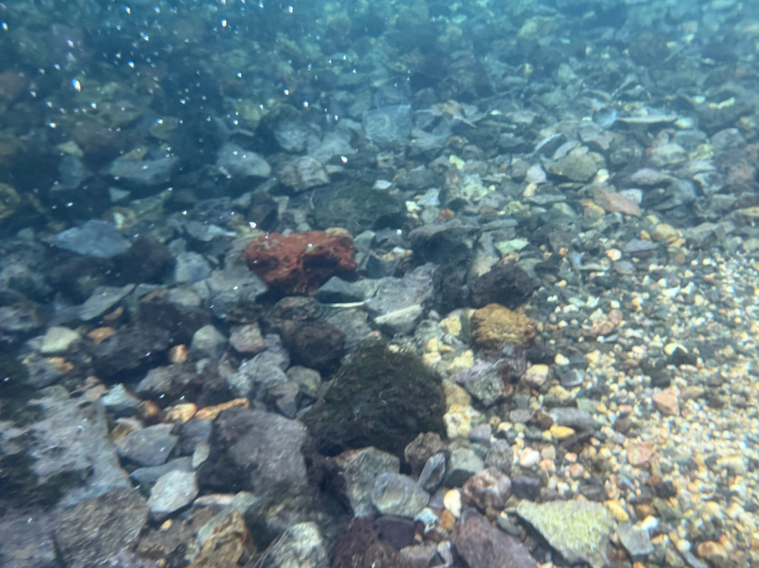 Recanto Ecologico Rio da Prata-博尼图必去景点