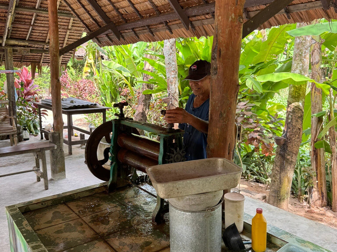 Old Phuket Farm-Thep Krasattri必去景点