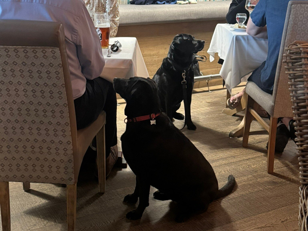 The Dunes Hotel主图