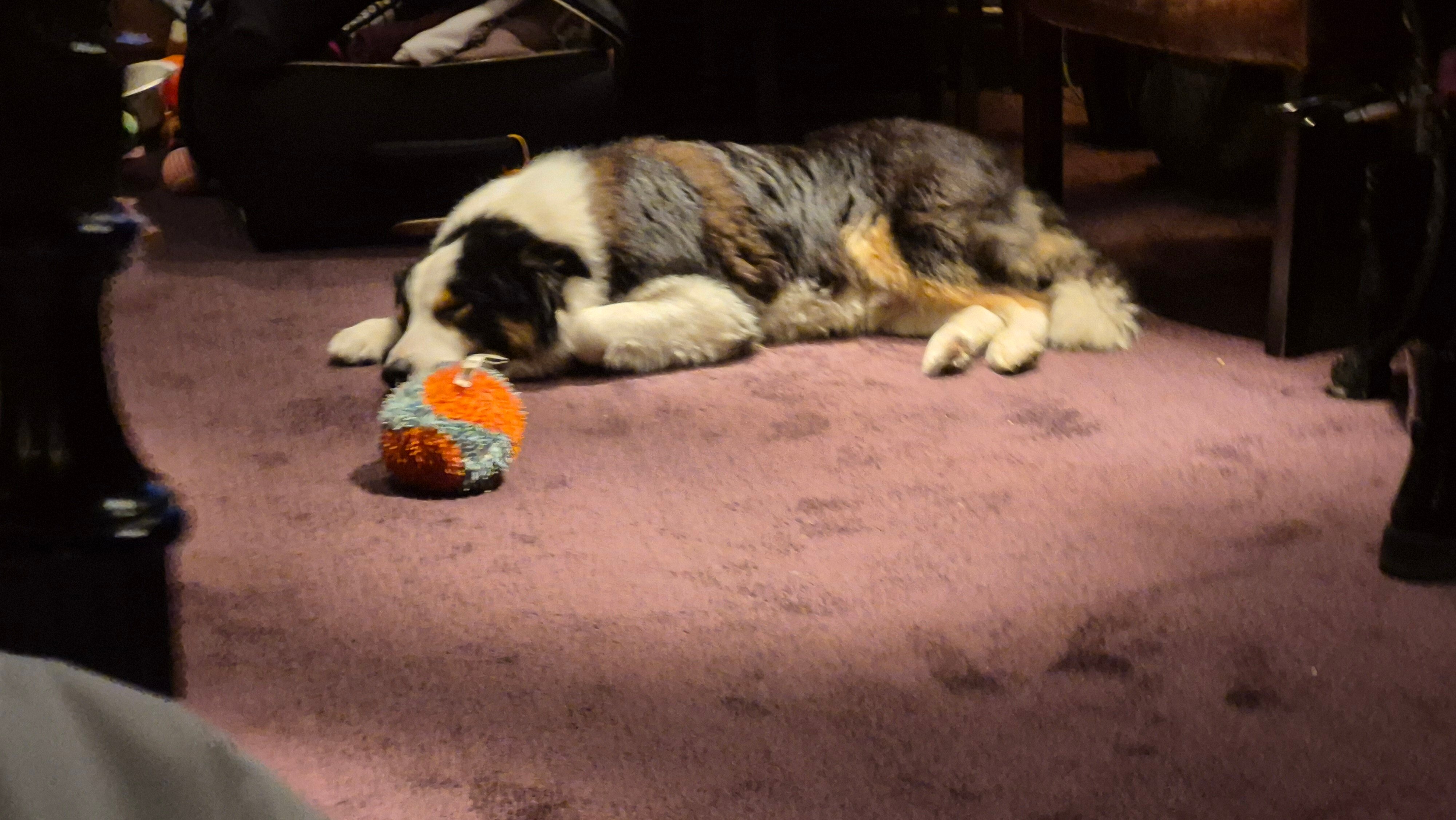 The Joiners Arms-官方