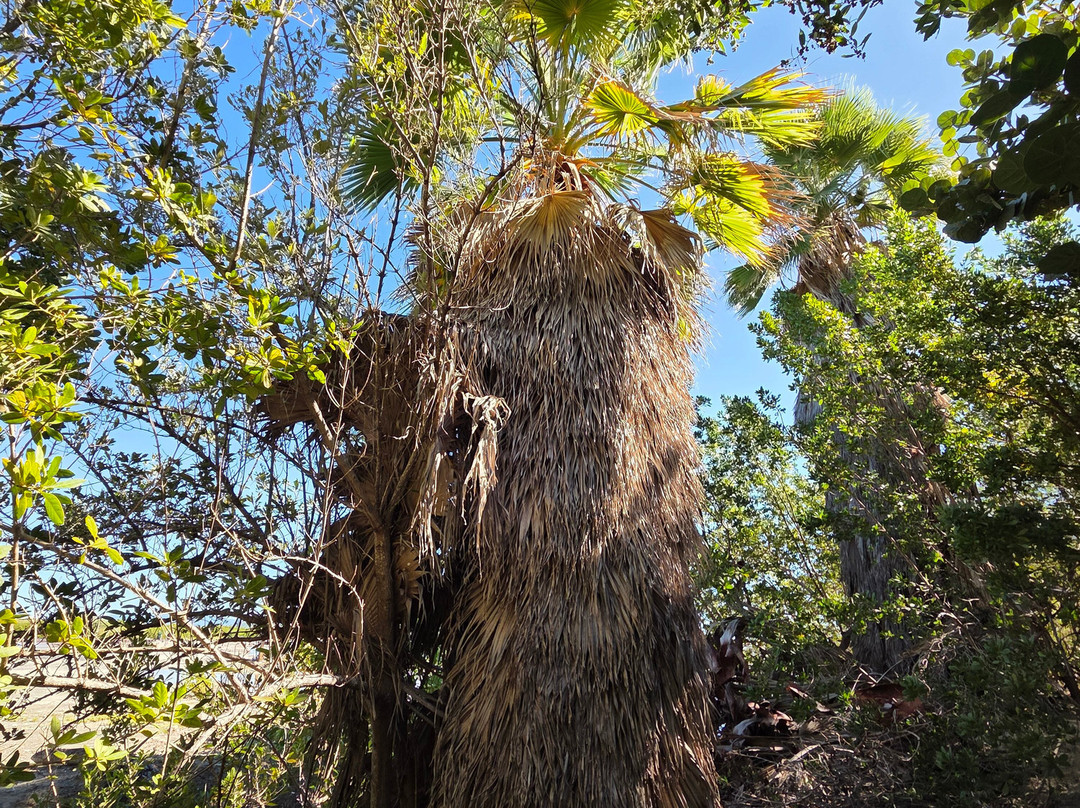 Salinas de Cabo Rojo-Cabo Rojo必去景点