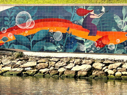 Canal Central de Aveiro-阿威罗必去景点