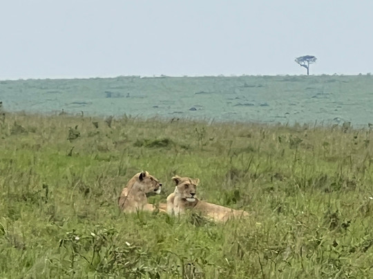 Belair Adventures And Safaris Limited-内罗毕必去景点