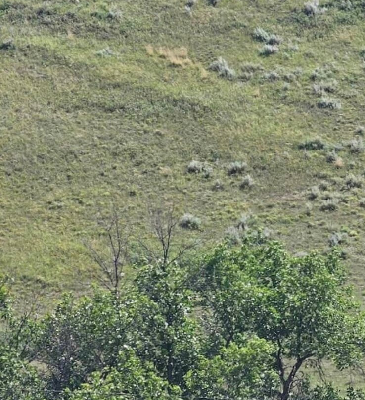 Buffalo Pound Lake-穆斯乔必去景点