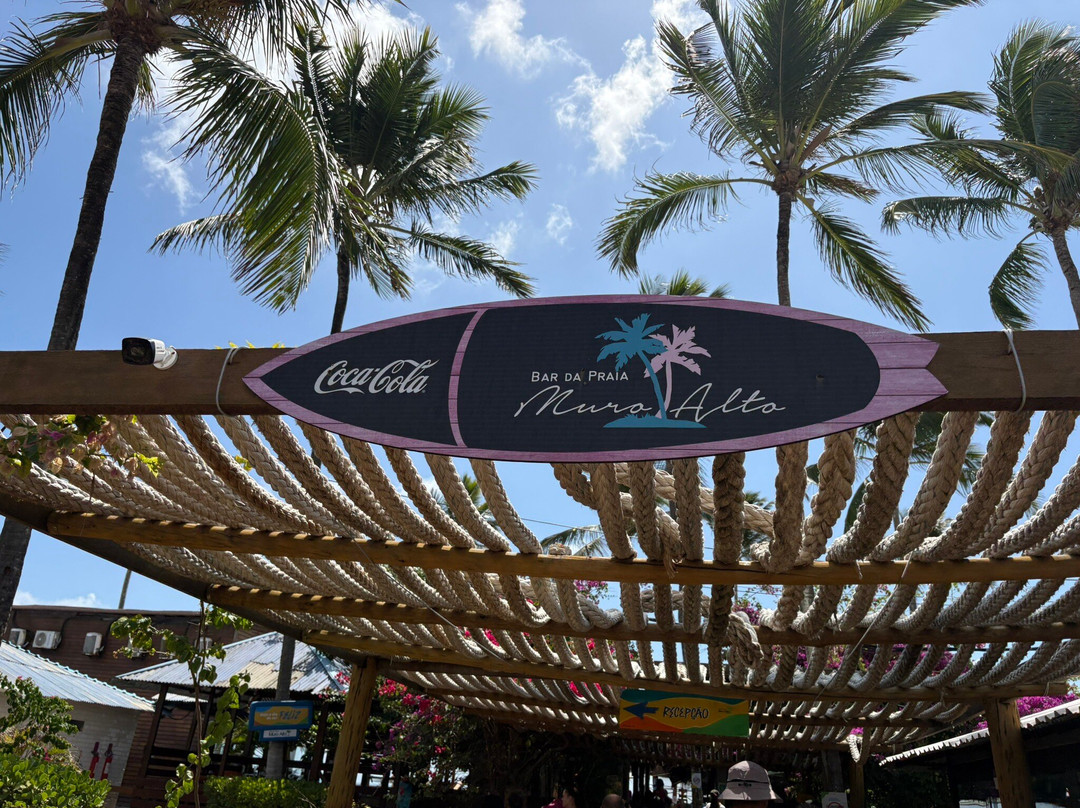 Passeio de buggy Porto de Galinhas-嘎林海斯港必去景点