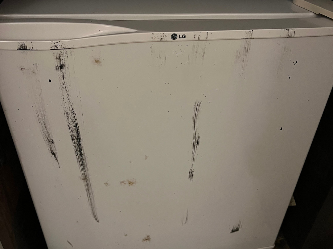 萨法瑞酒店主图