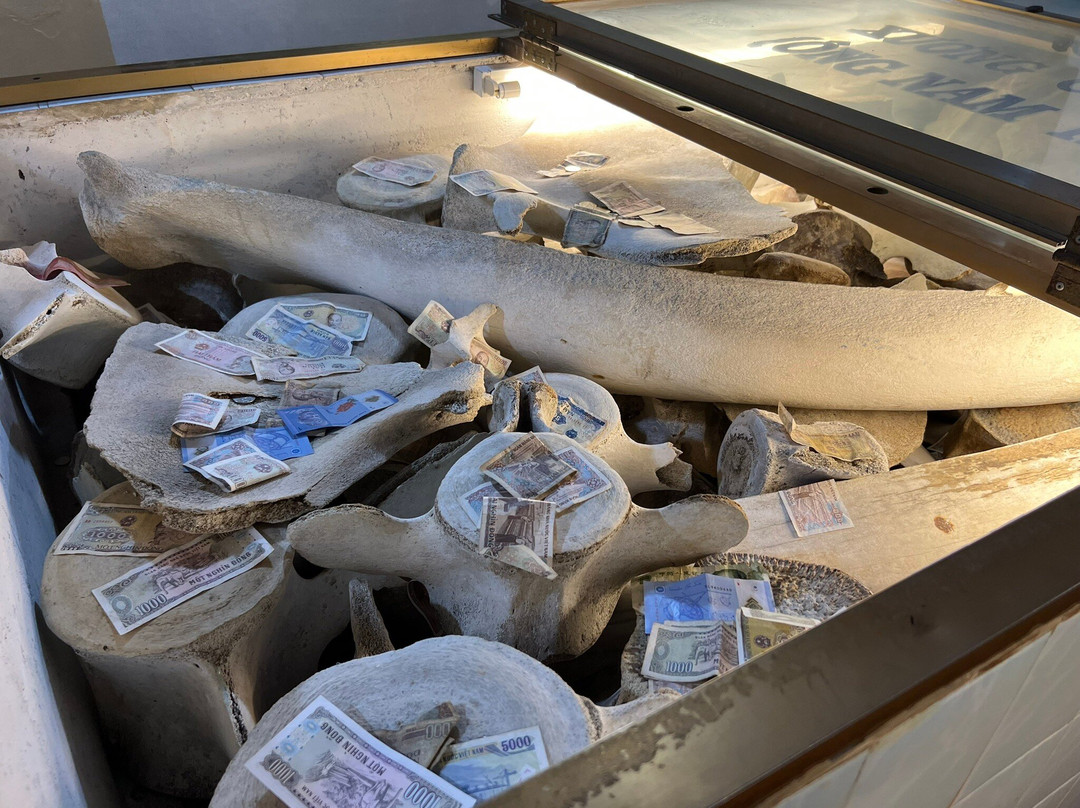 The Whale Temple Vung Tau-头顿必去景点