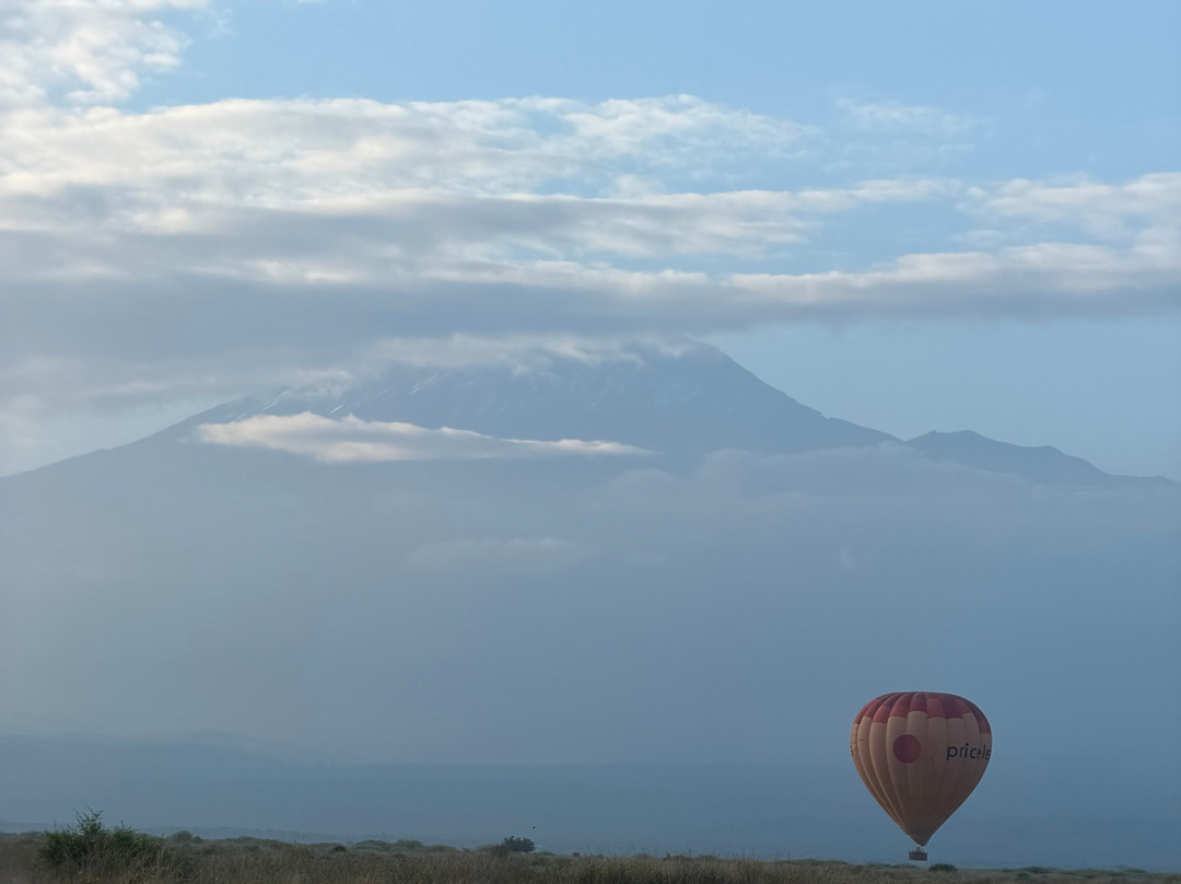 Kilimanjaro Balloon Safaris-安博塞利国家公园必去景点