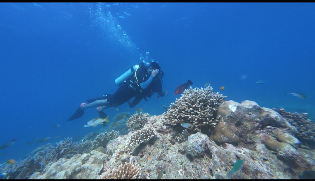 Turquoise Dream-Neil Island必去景点