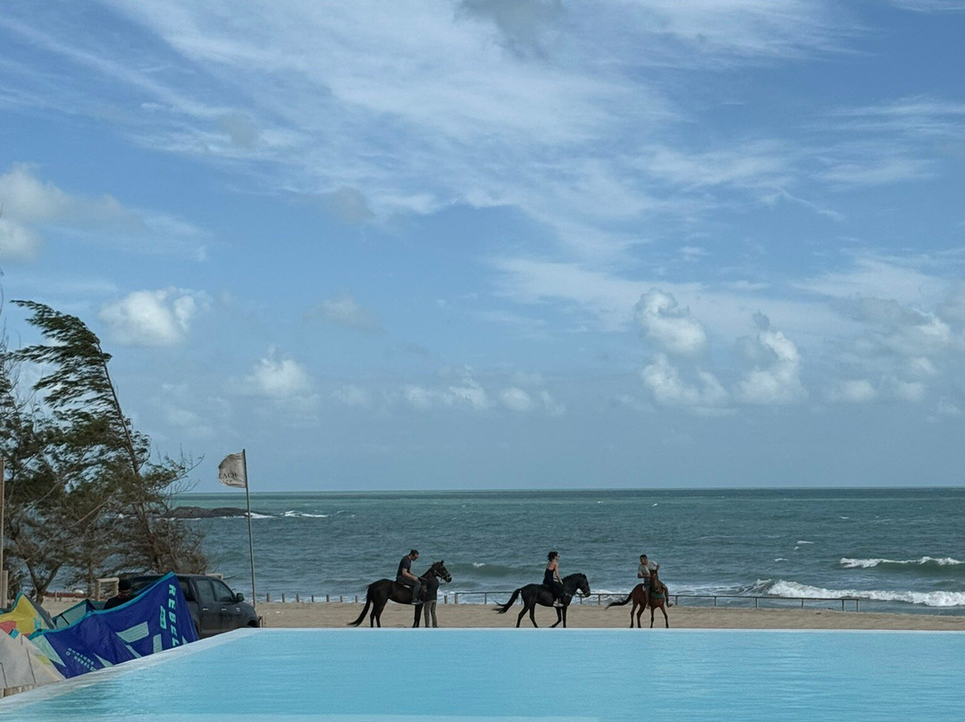 Praia do Preá-杰里科科拉必去景点