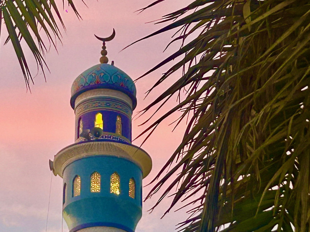 Origins Travel Group-阿姆斯特丹必去景点