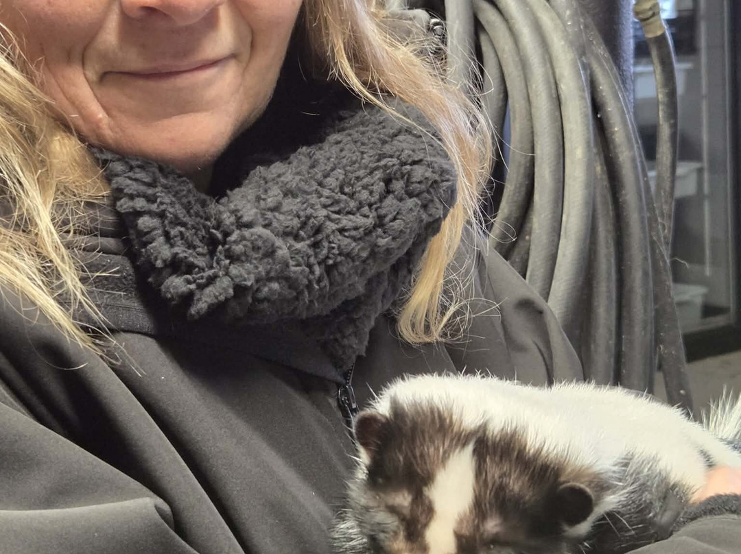 CineZoo-Sainte-Anne-de-la-Rochelle必去景点