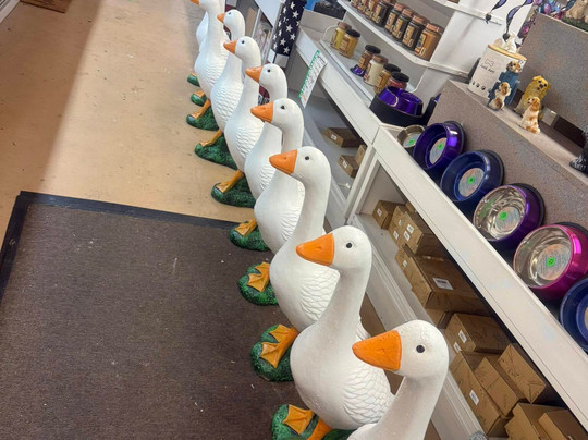 The Concrete Kingdom-Clarksville必去景点